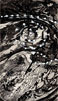B&W Overview